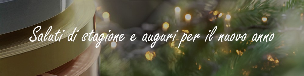 ANCHE DURANTE LE FESTIVITÀ NATALIZIE, CONTINUIAMO A GARANTIRE IL NOSTRO SERVIZIO