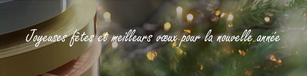 Joyeuses Fêtes et Bonne Année